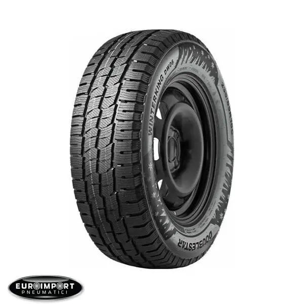 Double star Winterking Dw16  205/55 R17 95 T  XL  TL